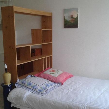Le Sultan Du Theron 3Em Etage Apartment Le Puy-en-Velay ภายนอก รูปภาพ